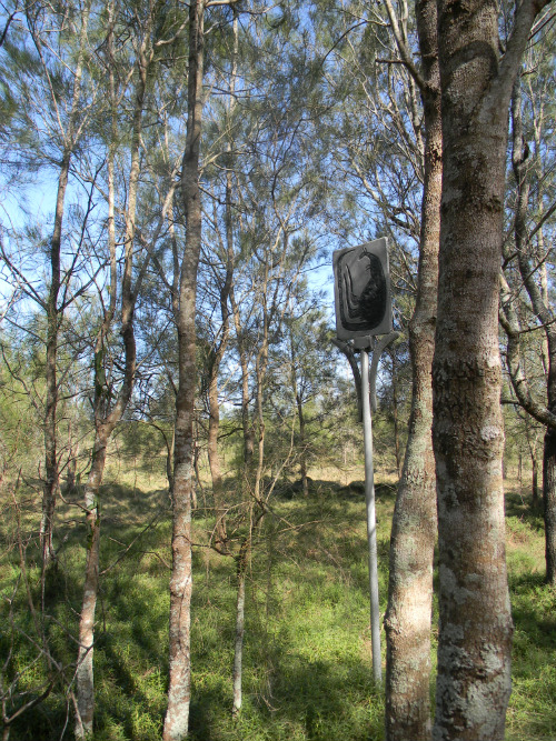 Kangaroo Totem